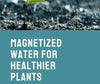 How Magnetizing Water Can Improve Plant Health and Growth
