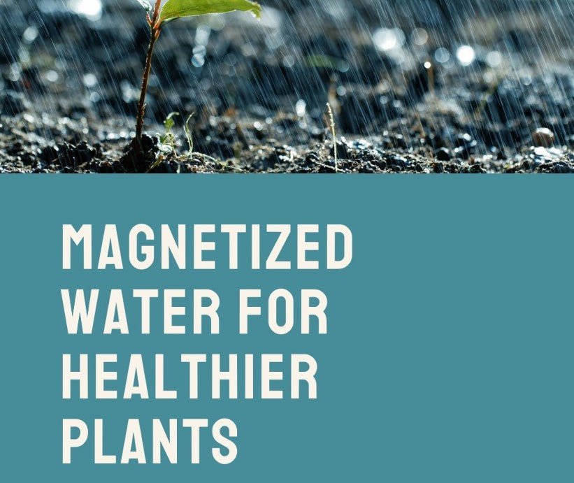 How Magnetizing Water Can Improve Plant Health and Growth