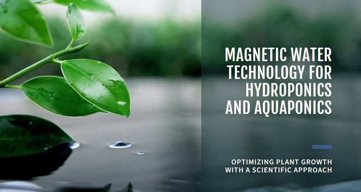 Optimizing Hydroponics and Aquaponics with Magnetic Water Technology - Quality Water Treatment