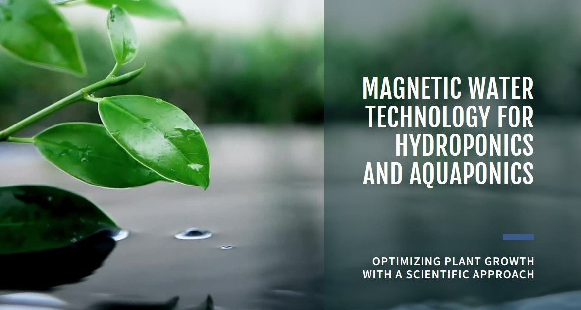 Optimizing Hydroponics & Aquaponics with Magnetic Water Technology - Quality Water Treatment