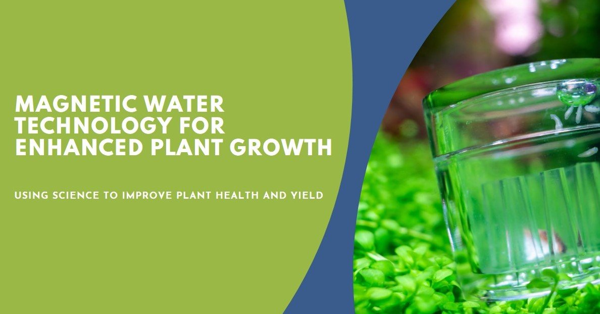 Using Magnetic Water Technology for Enhanced Plant Growth Across All Species - Quality Water Treatment