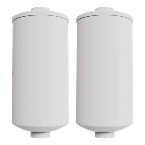 Black Element Replacement Water Filters For Gravity - Fed Filter Systems 2 - Pack (Fits Berkey systems) - Quality Water Treatment