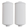 Image of Black Element Replacement Water Filters For Gravity - Fed Filter Systems 2 - Pack (Fits Berkey systems) - Quality Water Treatment