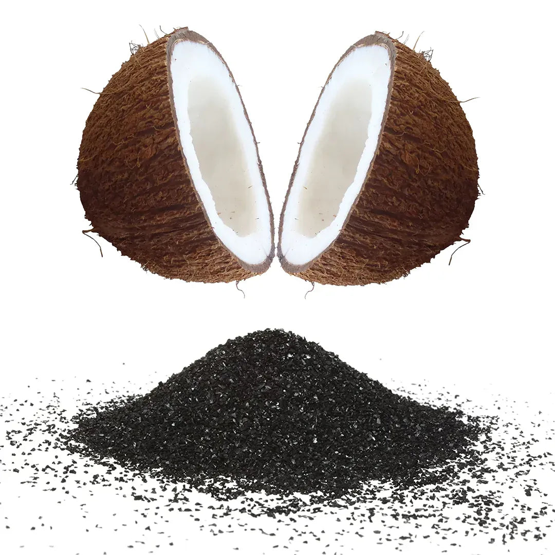 coconut-based-carbon-media.webp__PID:704fd884-a0cc-4949-bbc3-5a993ac45bd8