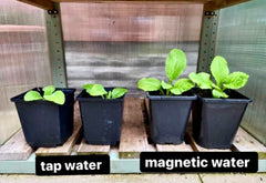Plant Surge Magnetic Water Device for Gardens & Farms (Lifetime Warranty)