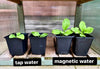 Image of Plant Surge Magnetic Water Device for Gardens & Farms (Lifetime Warranty) - Quality Water Treatment